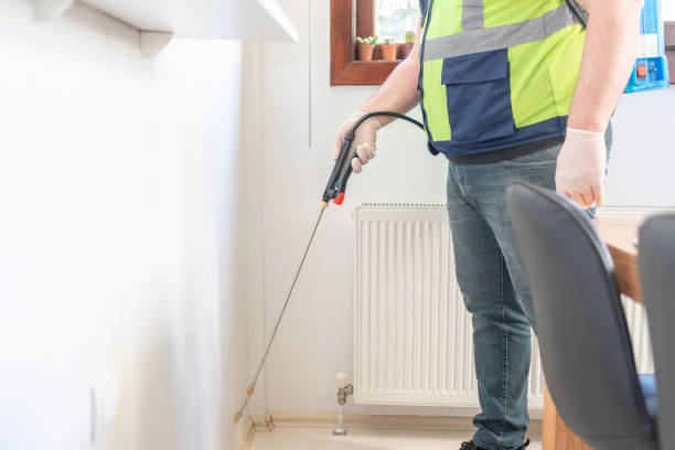 Best Flea Control Services  in Plattsburgh, NY