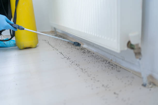 Best Best Pest Control Companies  in Plattsburgh, NY