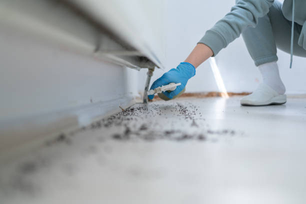 Best Residential Pest Control  in Plattsburgh, NY