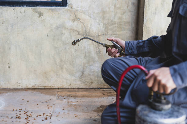 Best Best Pest Control Companies  in Plattsburgh, NY
